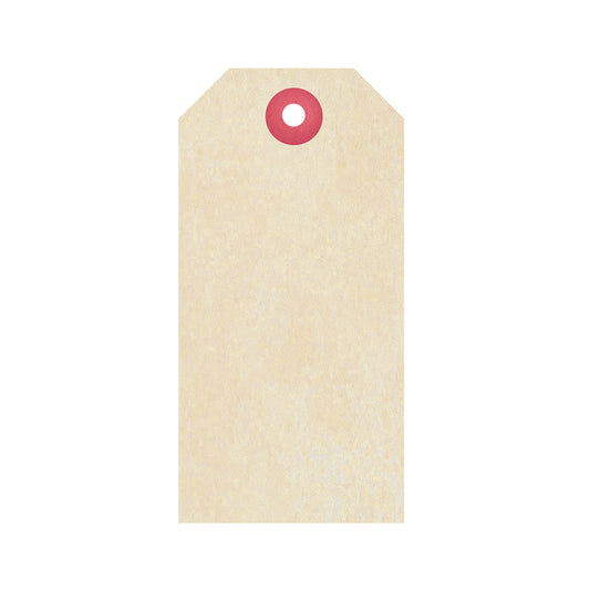 Buff Tag with Reinforced Hole 234gsm - No. 5 121x60mm 1000pc